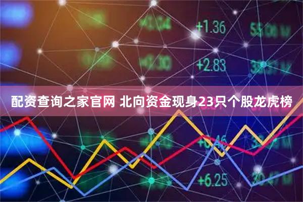 配资查询之家官网 北向资金现身23只个股龙虎榜